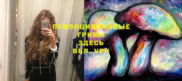 бутират Баксан