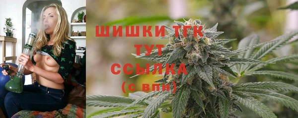 амф Аркадак