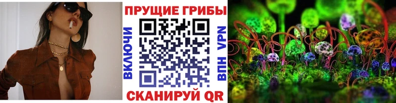 Псилоцибиновые грибы MAGIC MUSHROOMS  Бологое 