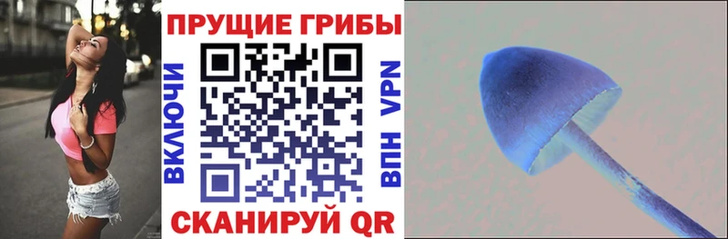 Галлюциногенные грибы прущие грибы Бологое